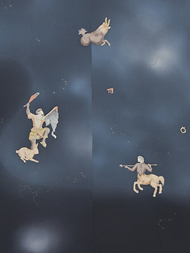 星座の模様友禅長羽織