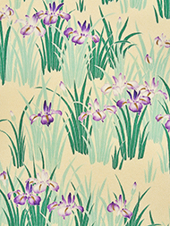 菖蒲の花友禅袋帯