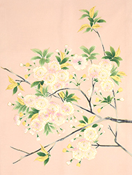 八重桜の花友禅名古屋帯