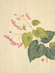 秋海棠の花名古屋帯 長瀧澄男作