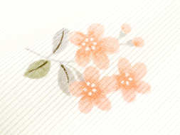 小さい花の柄絽小紋　志ま亀扱